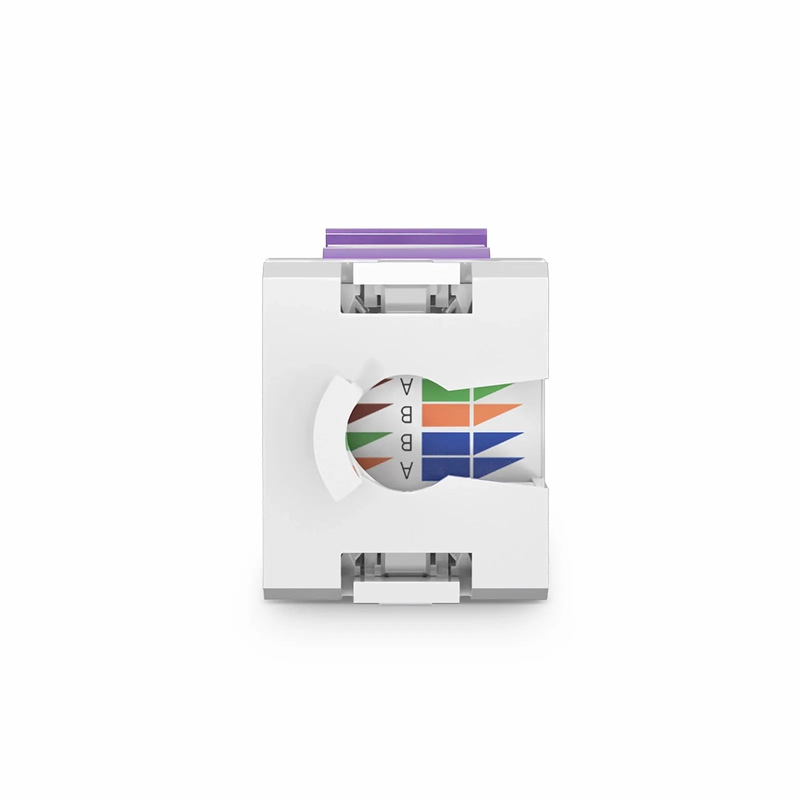 SFPS Cat6 RJ45 (8P8C) Unshielded Punch Down Keystone Jack Module, Purple (10 pcs/Pack) SFPS