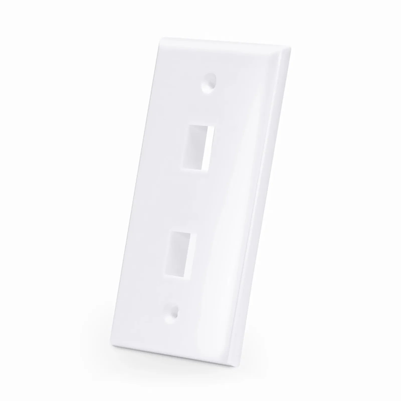 SFPS Two Ports Keystone Single Gang Wall Plate SFPS