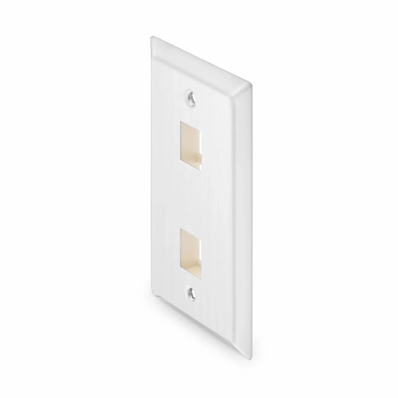 SFPS SyncEase Stainless Steel Two Port Keystone Single Gang Wall Plate SFPS