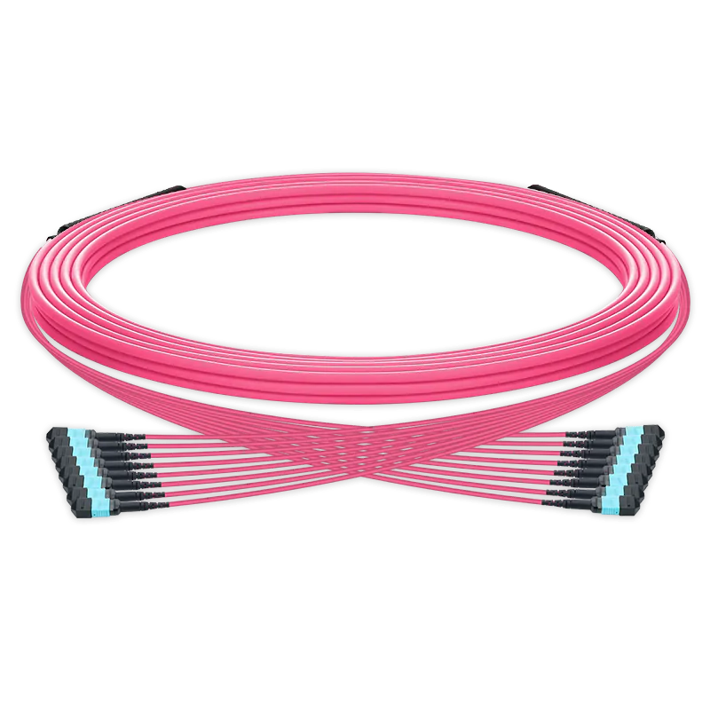 5m (16ft) Pre-terminated MPO trunk cable, 96 Fibers, 8 x MPO-12 UPC (Male) to 8 x MPO-12 UPC (Male) Multimode (OM4) Type B, LSZH（OFNR）, 0.35dB Max, Magenta, breakout 80cm SFPS