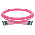 10m (33ft) Pre-terminated MPO trunk cable, 96 Fibers, 8 x MPO-12 UPC (Male) to 8 x MPO-12 UPC (Male) Multimode (OM4) Type B, LSZH（OFNR）, 0.35dB Max, Magenta, breakout 80cm SFPS