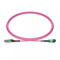1m (3ft) MMC Breakout Cable, MMC-12 APC (Female) to MPO-12 APC (Female), 12 Fibers, Multimode (OM4), Jumper Polarity, OFNP, 2.5mm, Max IL ≤ 0.35dB, Magenta SFPS
