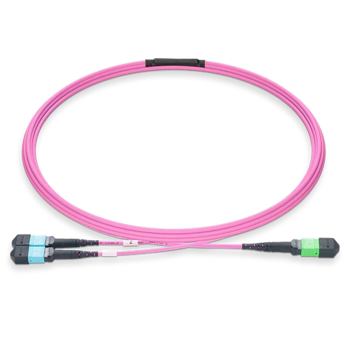 10m (33ft) MPO-16 APC (Female) to 2xMPO-8 UPC (Female) Multimode (OM4) Breakout, Type B, LSZH, 3.0mm, Max IL ≤ 0.35dB, Magenta SFPS