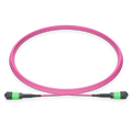 10m (33ft) MPO-16 APC (Female) to MPO-16 APC (Female) 16 Fibers Multimode (OM4) Jumper, Type B, LSZH, 3.0mm, Max IL ≤ 0.35dB, Magenta SFPS