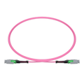 1m (3ft) MMC Jumper, MMC-12 APC (Female) to MMC-12 APC (Female), 12 Fibers, Multimode (OM4), Jumper Polarity, OFNP, 2.5mm, Max IL ≤ 0.35dB, Magenta SFPS