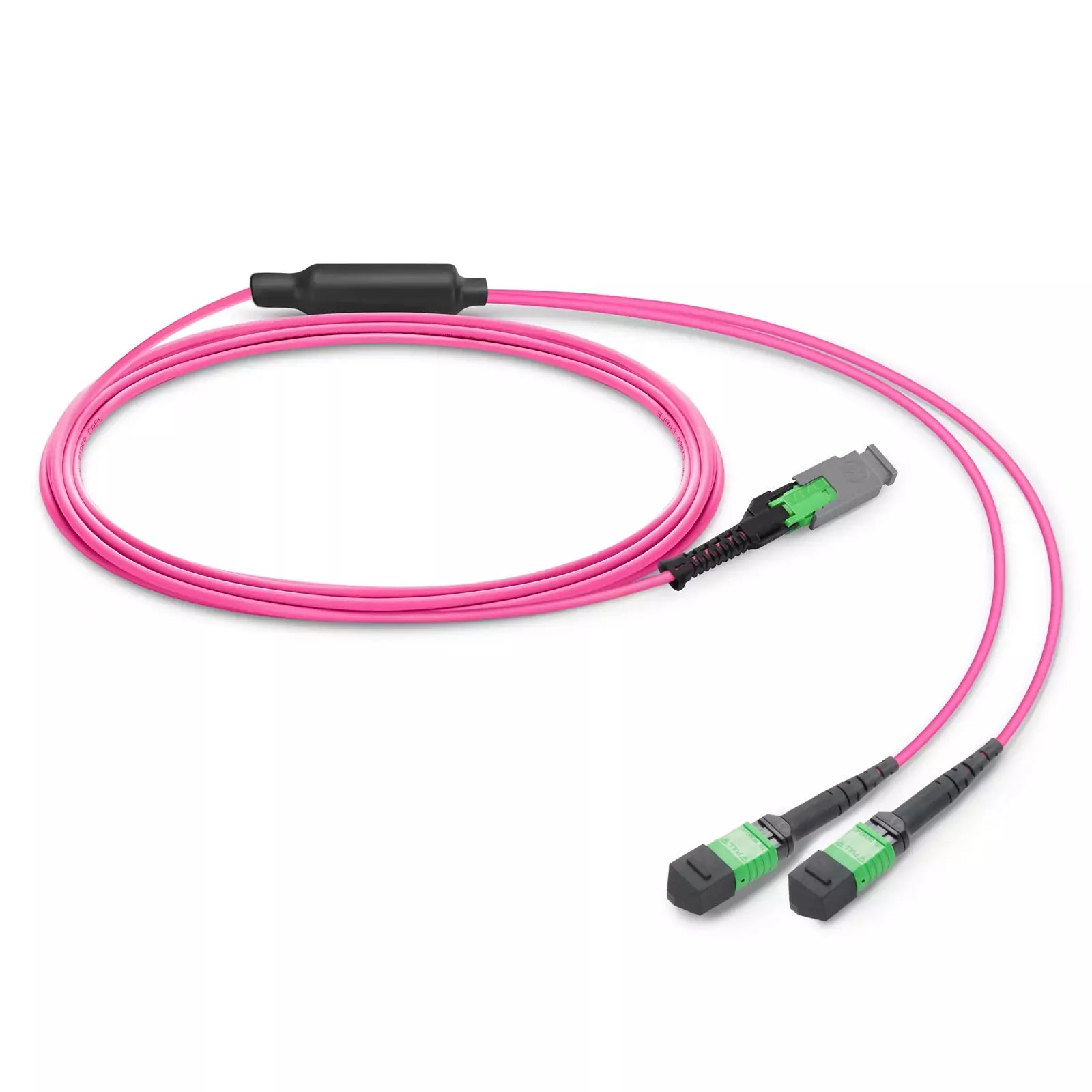 15m (49ft) MMC Breakout Cable, MMC-16 APC (Female) to 2 x MPO-8 APC (Female), 16 Fibers, Multimode (OM4), Jumper Polarity, OFNP, 2.5mm, Max IL ≤ 0.35dB, Magenta SFPS