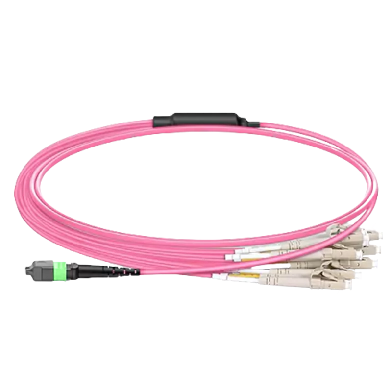 30m (98ft) MTP®-16 APC (Female) to 8x LC Duplex UPC Multimode (OM4) Harness Cable, Type B, LSZH, Magenta SFPS
