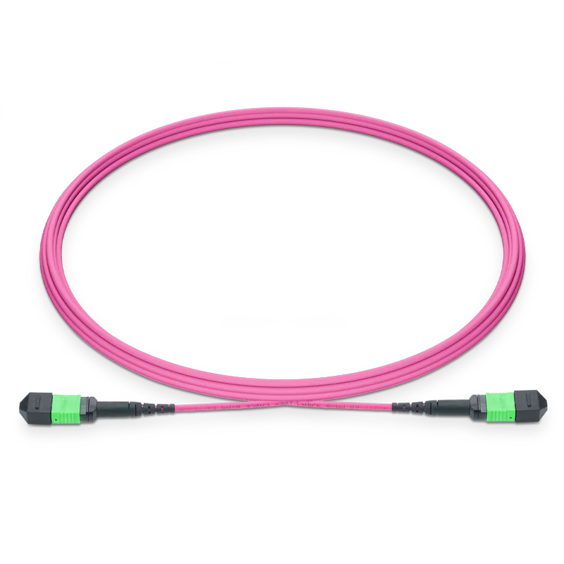 0.5m (1.6ft) MTP®-16 APC (Female) to MTP®-16 APC (Female) 16 Fibers Multimode (OM4) Jumper, Type B, LSZH, 3.0mm, Max IL ≤ 0.35dB, Magenta SFPS