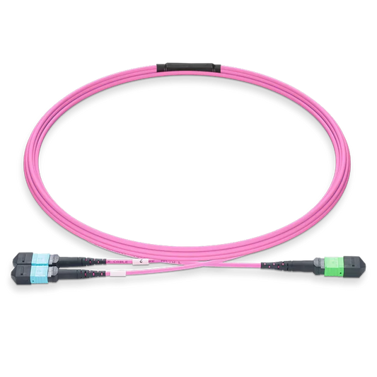 50m (164ft) MPO-16 APC (Female) to 2xMPO-8 UPC (Female) Multimode (OM4) Breakout, Type B, LSZH, 3.0mm, Max IL ÃƒÂ¢Ã¢â‚¬Â°Ã‚Â¤ 0.35dB, Magenta SFPS
