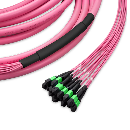 8m (26ft) Pre-terminated MPO Trunk Cable, 192 Fibers, 16 x MPO-12 APC (Male) to 16 x MPO-12 APC (Male) Multimode (OM4) Type B, LSZH, 0.35dB Max, Breakout 80cm, Double Jacket, Magenta SFPS