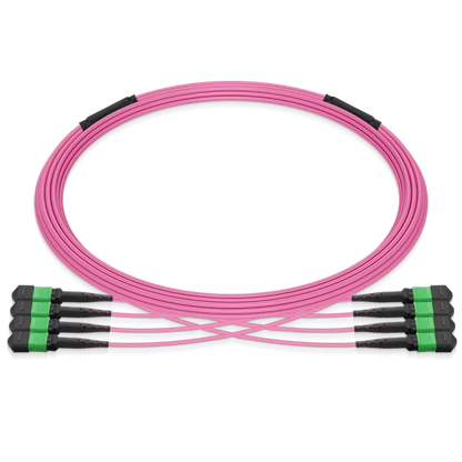 25m (82ft) Pre-terminated MPO 4x4 Shuffle Trunk Cable, 32 Fibers, 4xMPO-8 APC (Male) to 4xMPO-8 APC (Male), Multimode (OM4), Type 4, LSZH, 0.35dB Max, Breakout 80cm, Magenta SFPS