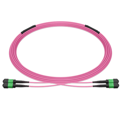 10m (33ft) Pre-terminated MPO 2x2 Shuffle Trunk Cable, 16 Fibers, 2xMPO-8 APC Male to 2xMPO-8 APC Male, Multimode (OM4), Type 2, OFNP, 0.35dB Max, Breakout 80cm, Magenta SFPS