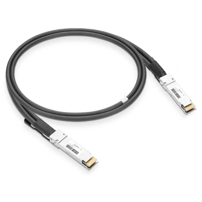 Generic Compatible 1m (3ft) 400G QSFP-DD Passive Direct Attach Copper Twinax Cable SFPS