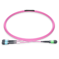 20m (66ft) MPO-16 APC (Female) to 2xMPO-8 UPC (Female) Multimode (OM4) Breakout, Type B, LSZH, 3.0mm, Max IL ≤ 0.35dB, Magenta SFPS