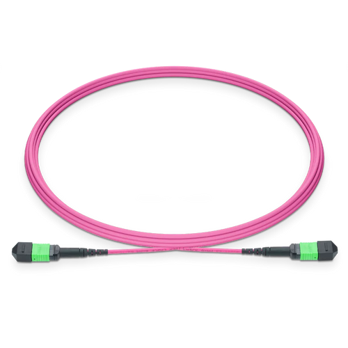 1.5m (5ft) MPO-16 APC (Female) to MPO-16 APC (Female) 16 Fibers Multimode (OM4) Jumper, Type B, LSZH, 3.0mm, Max IL ≤ 0.35dB, Magenta SFPS