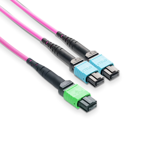 20m (66ft) MPO-16 APC (Female) to 2xMPO-8 UPC (Female) Multimode (OM4) Breakout, Type B, LSZH, 3.0mm, Max IL ≤ 0.35dB, Magenta SFPS