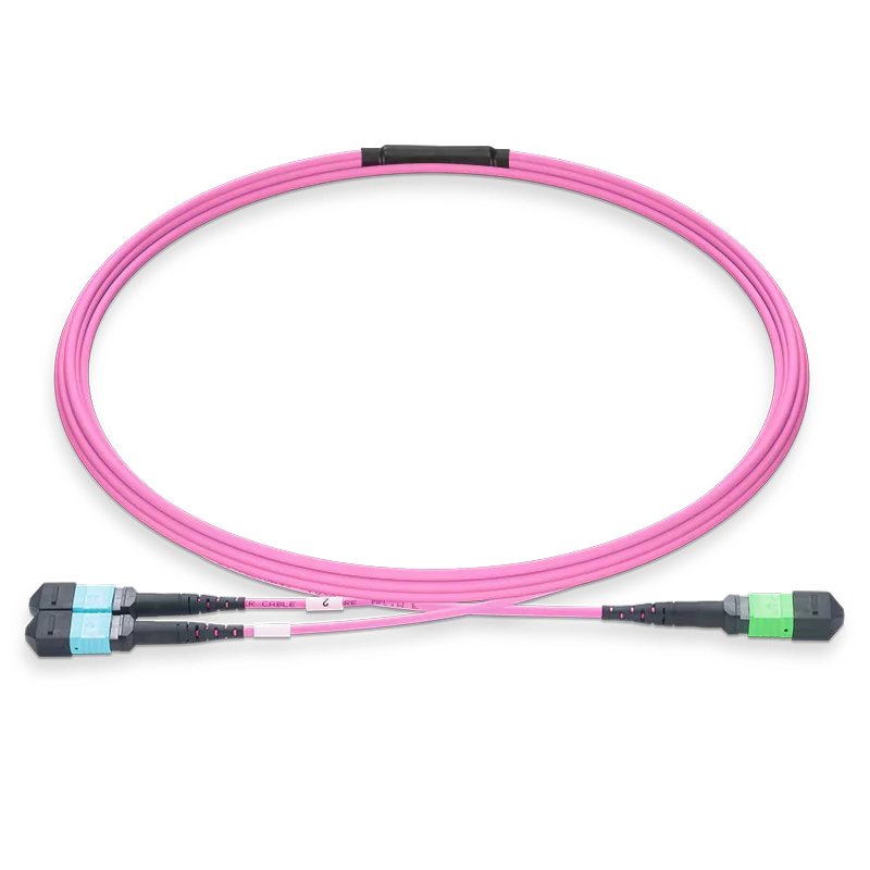 15m (49ft) MPO-16 APC (Female) to 2xMPO-8 UPC (Female) Multimode (OM4) Breakout, Type B, LSZH, 3.0mm, Max IL ≤ 0.35dB, Magenta SFPS